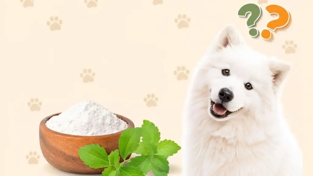 White fluffy dog beside bowl of white powder and mint leaves with question marks