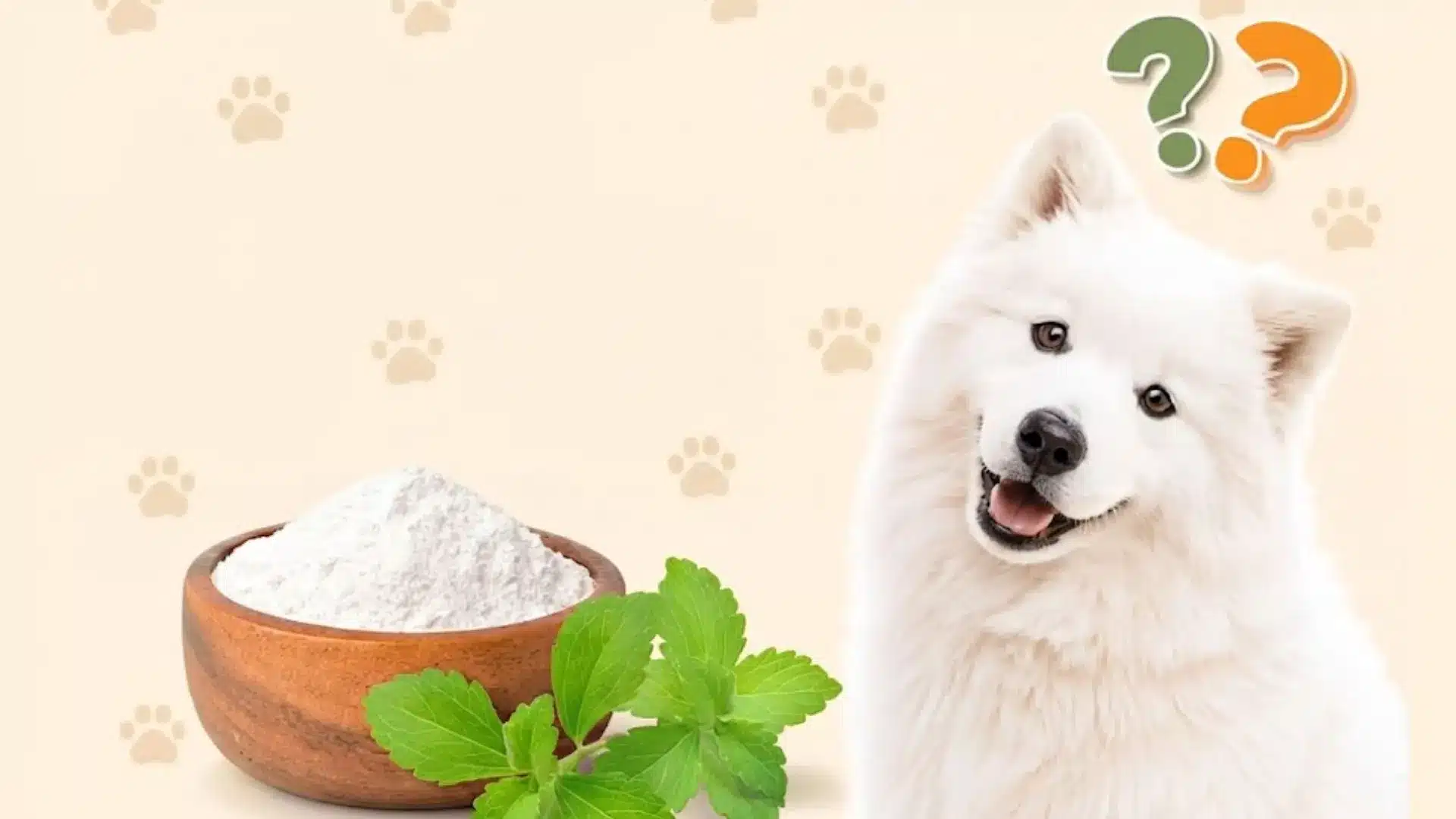 White fluffy dog beside bowl of white powder and mint leaves with question marks