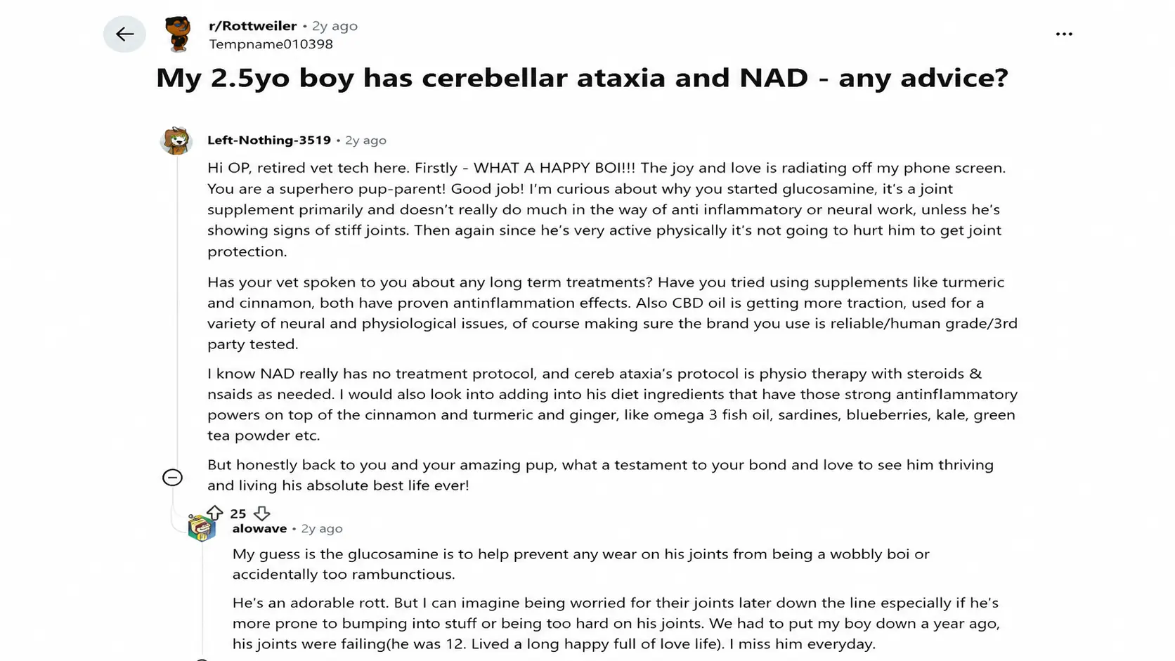 reddit discussion about a dog owner seeking advice for canine cerebellar ataxia treatment and care options
