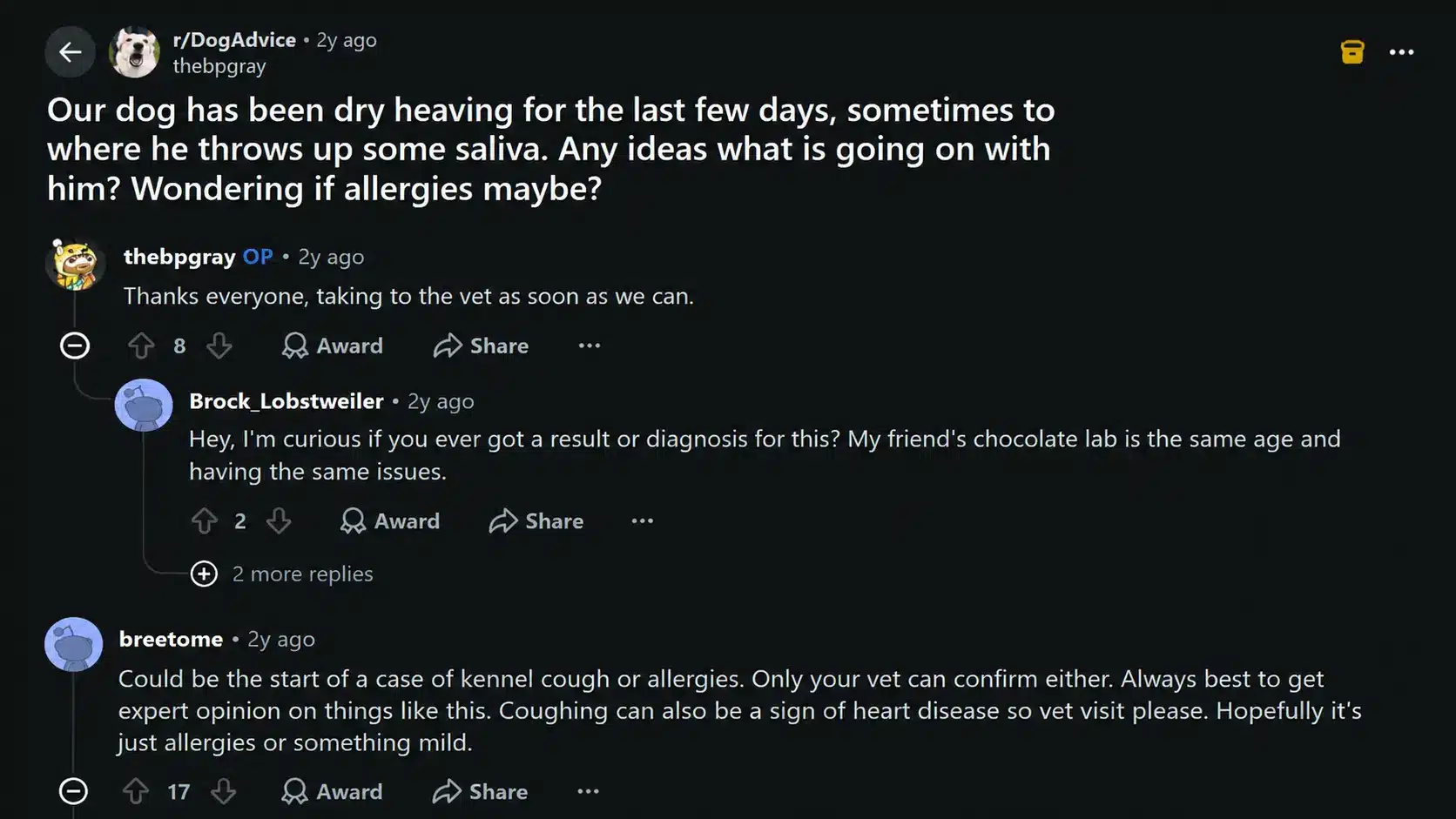 reddit discussion about dog dry heaving symptoms and owner seeking advice from others