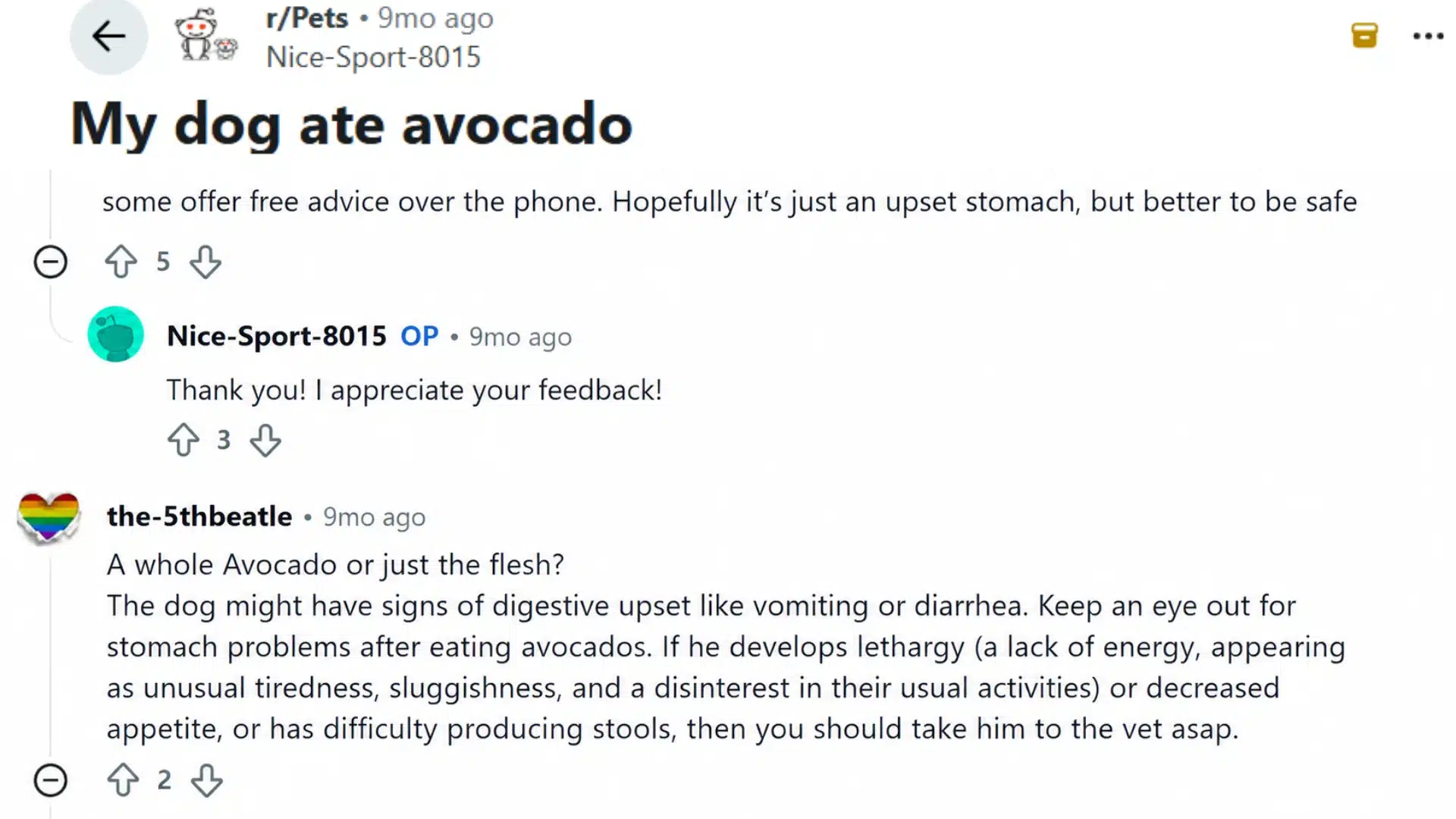 reddit discussion about dogs eating avocado, warning about pit blockage, digestive symptoms, and when to contact a veterinarian