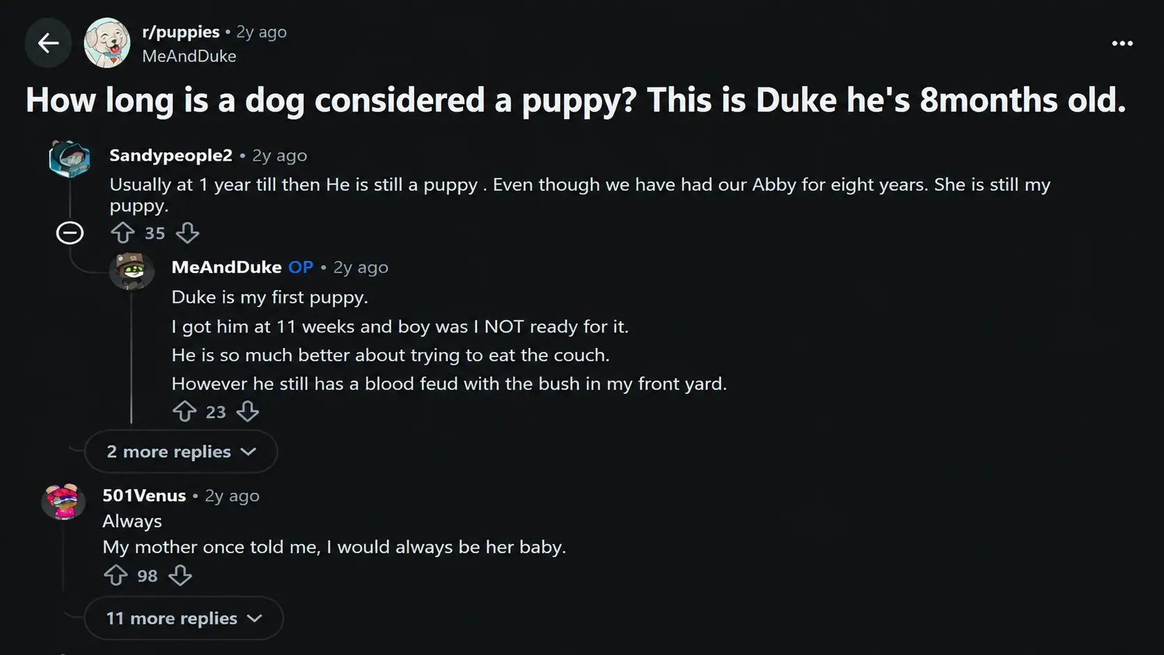 reddit discussion about how long a dog is considered a puppy with owner comments about puppy behavior and growth