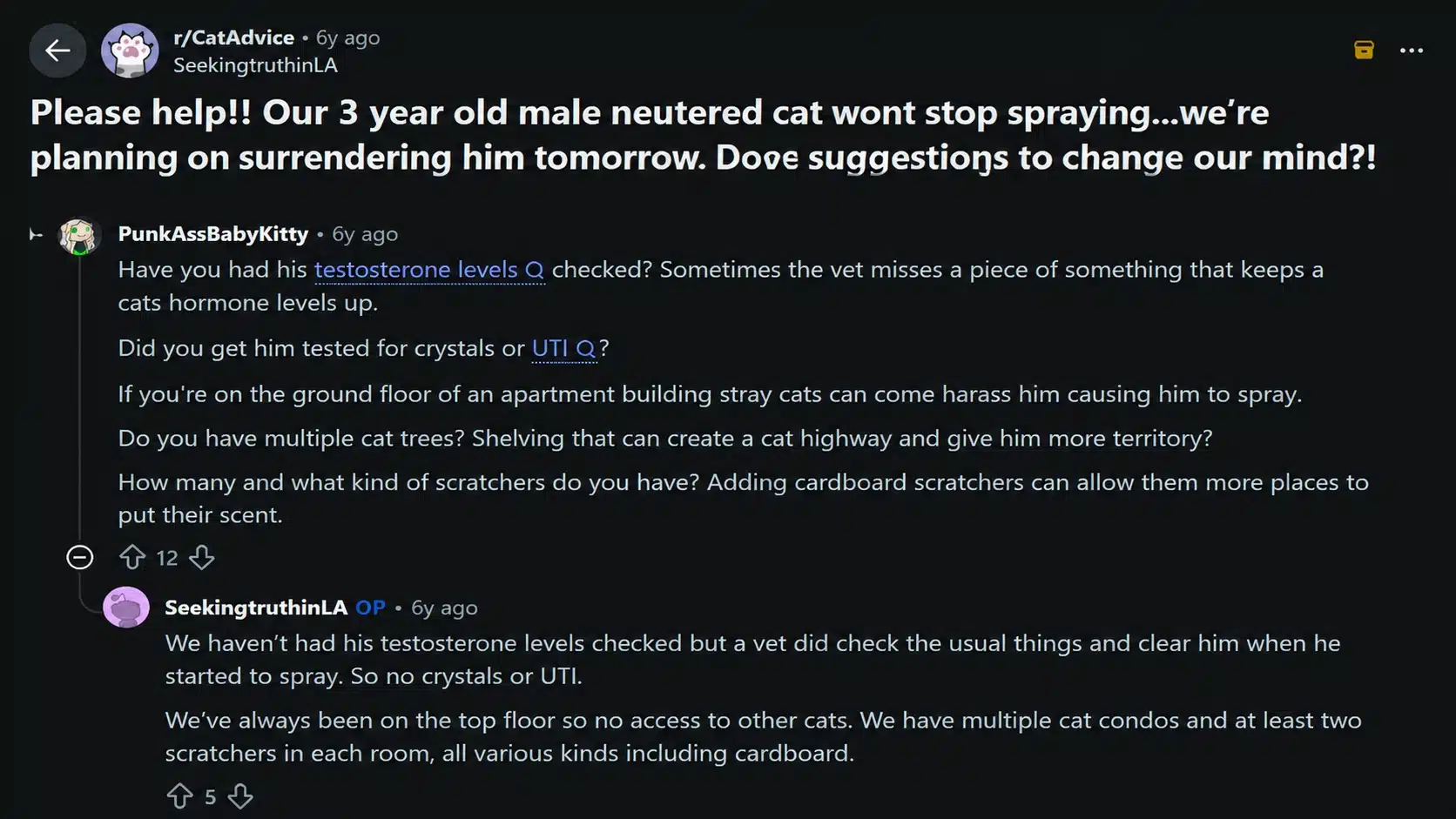 reddit discussion about neutered cat spraying and possible behavior causes