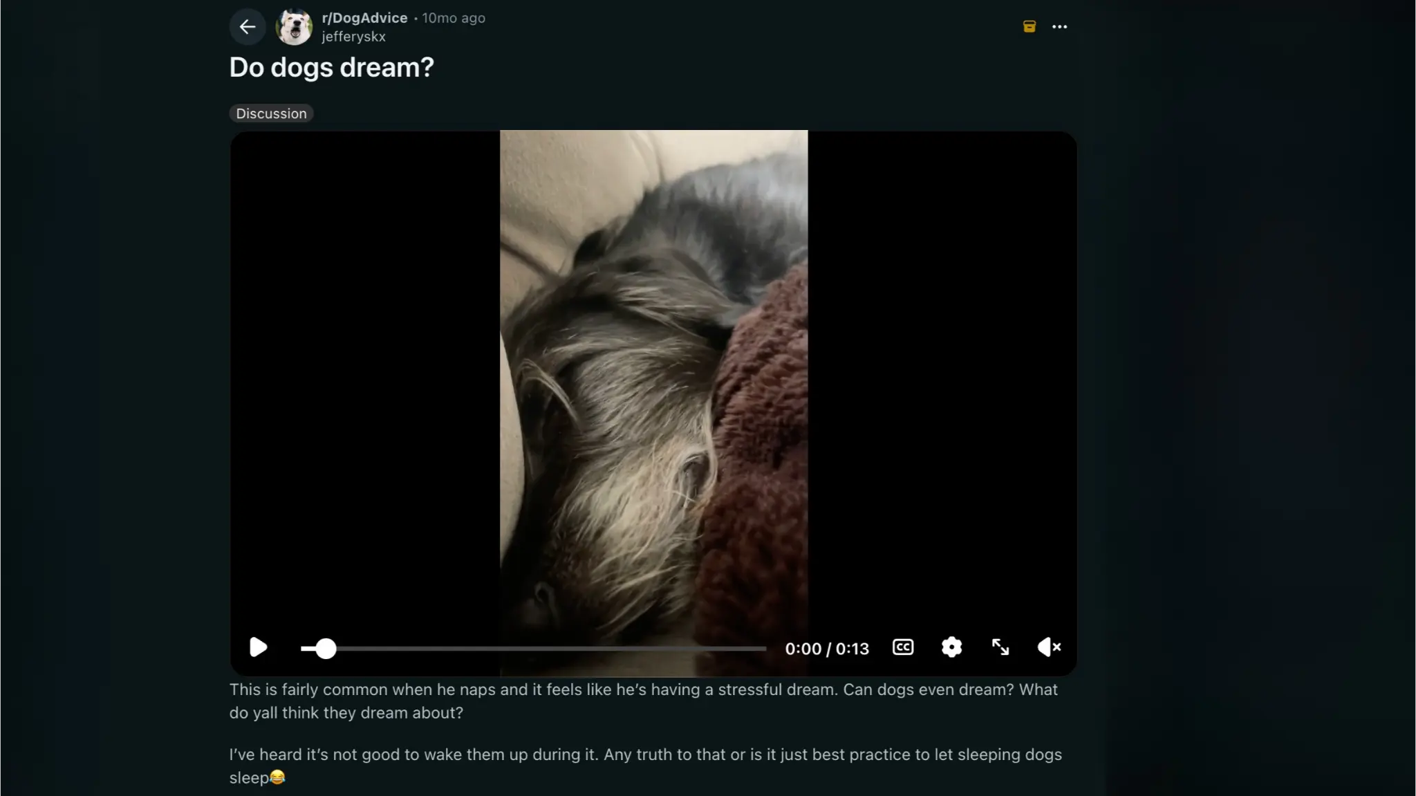 reddit discussion about owners observing dogs dreaming while asleep