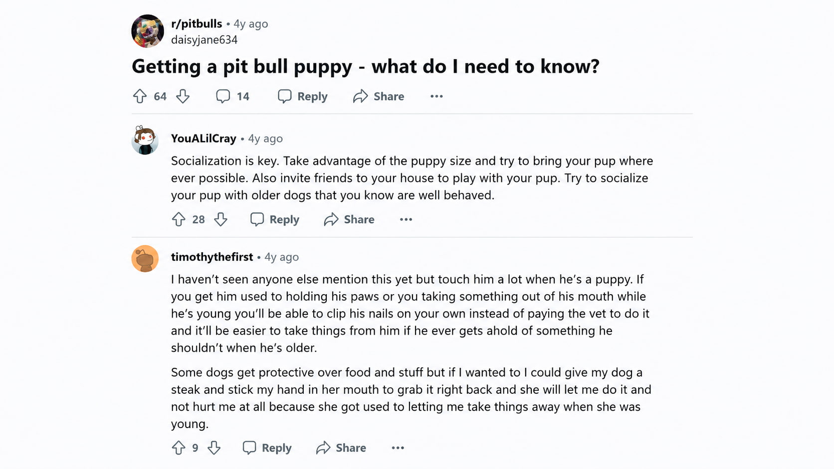 reddit discussion about pit bull puppy care training and socialization advice from dog owners