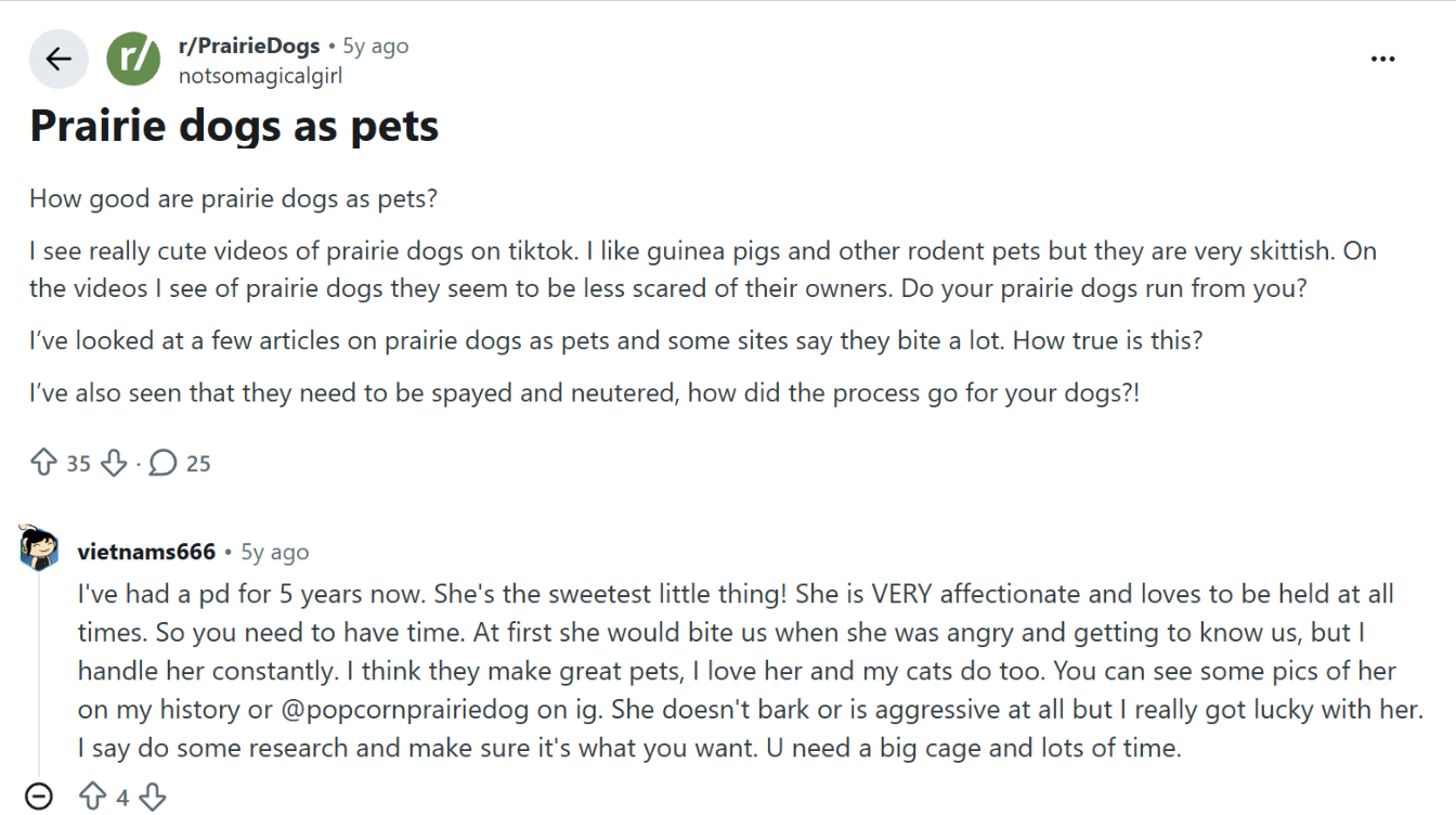 reddit discussion about prairie dogs as pets showing owner experiences with bonding biting and daily care needs