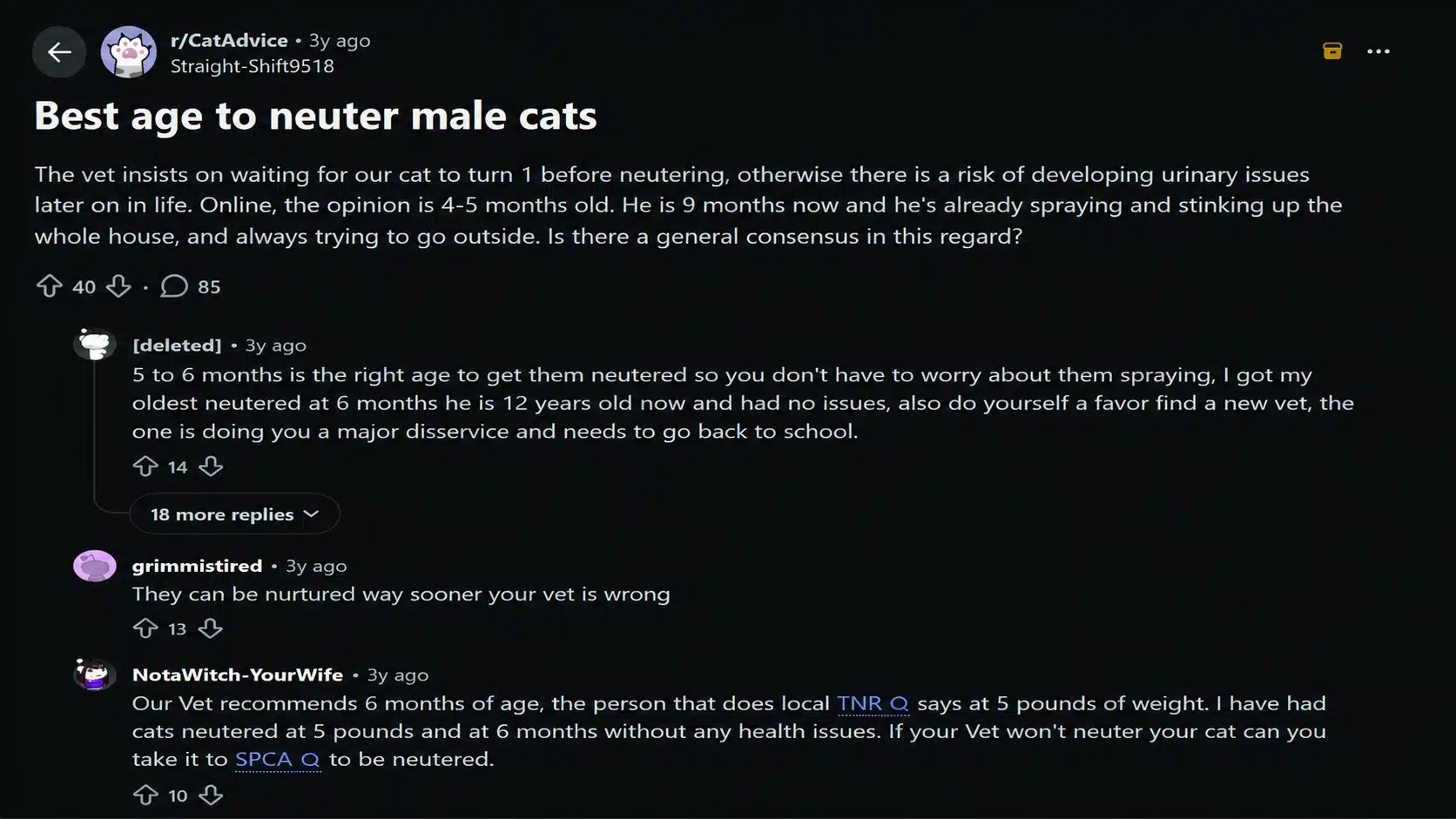 reddit discussion about the best age to neuter male cats and owner experiences