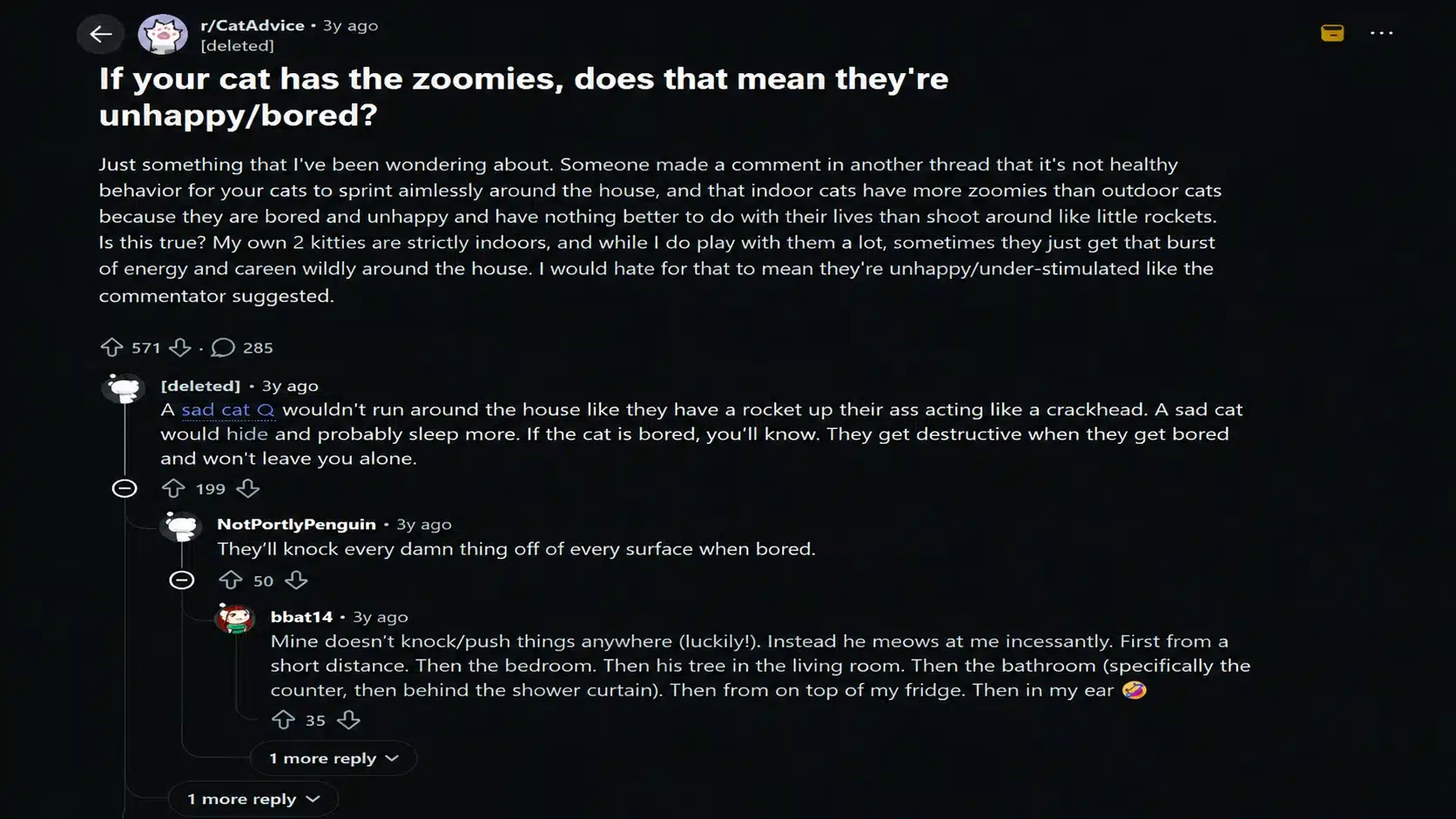 reddit discussion screenshot showing cat zoomies experiences and owners sharing views on feline energy behavior and boredom concerns