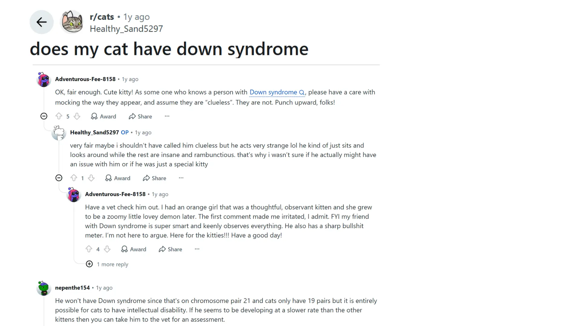reddit discussion where cat owners ask if unusual cat behavior could mean down syndrome