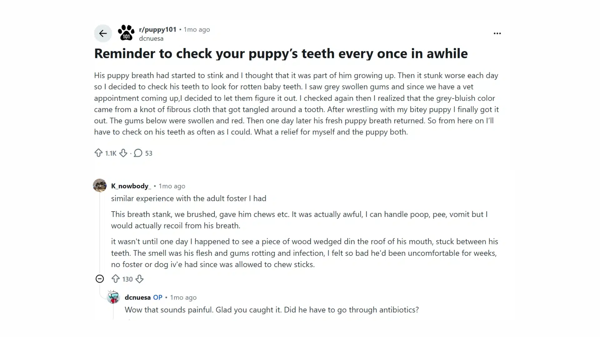reddit post about puppy dental care, swollen gums, and regular teeth checks