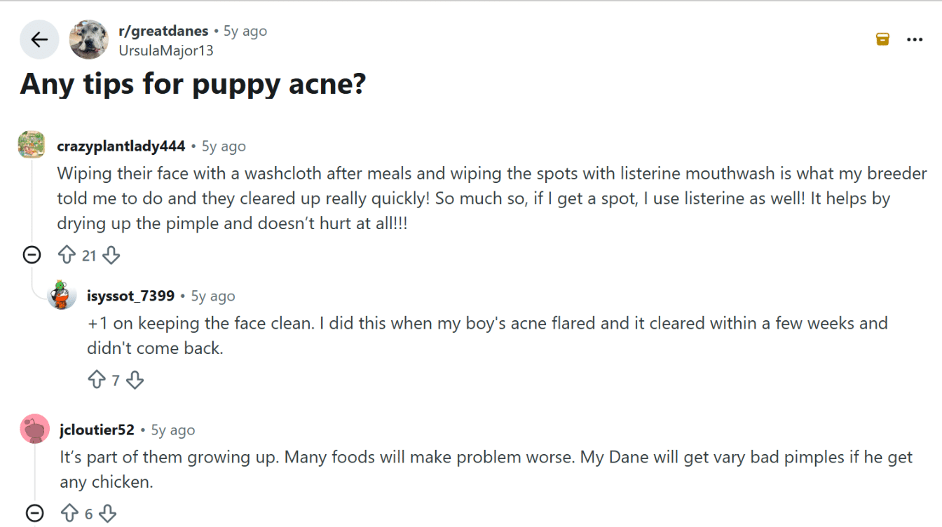 reddit puppy acne discussion showing pet owner experiences and care tips