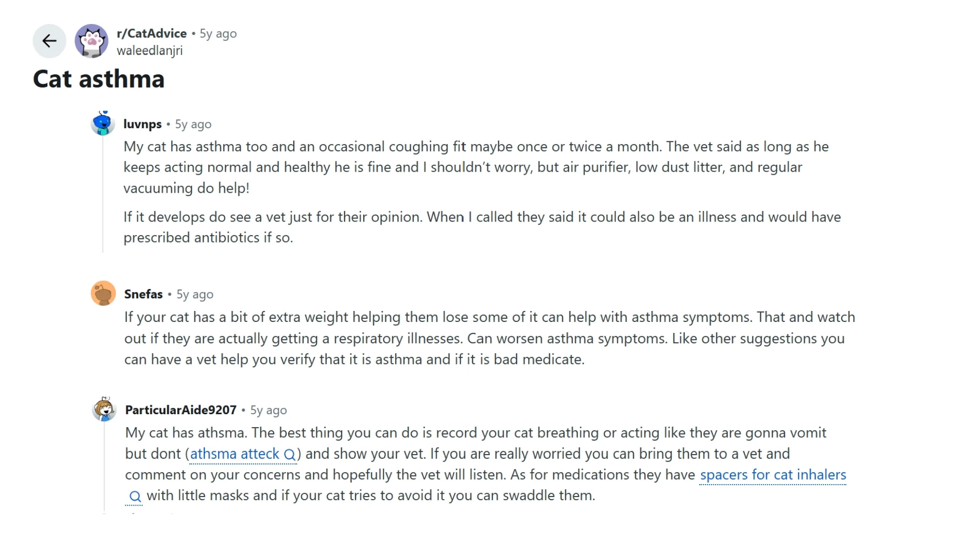 reddit cat owners discuss feline asthma symptoms, coughing, inhalers, and home care tips