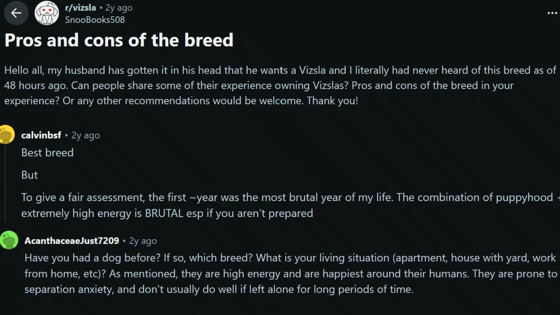 reddit discussion showing vizsla owners sharing pros, cons, high energy, and separation concerns
