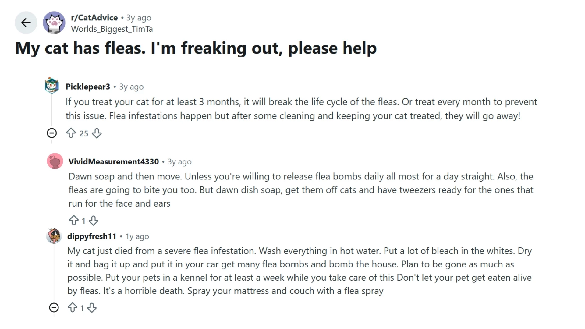 reddit cat advice thread discussing flea treatment, cleaning tips, and a severe flea infestation experience