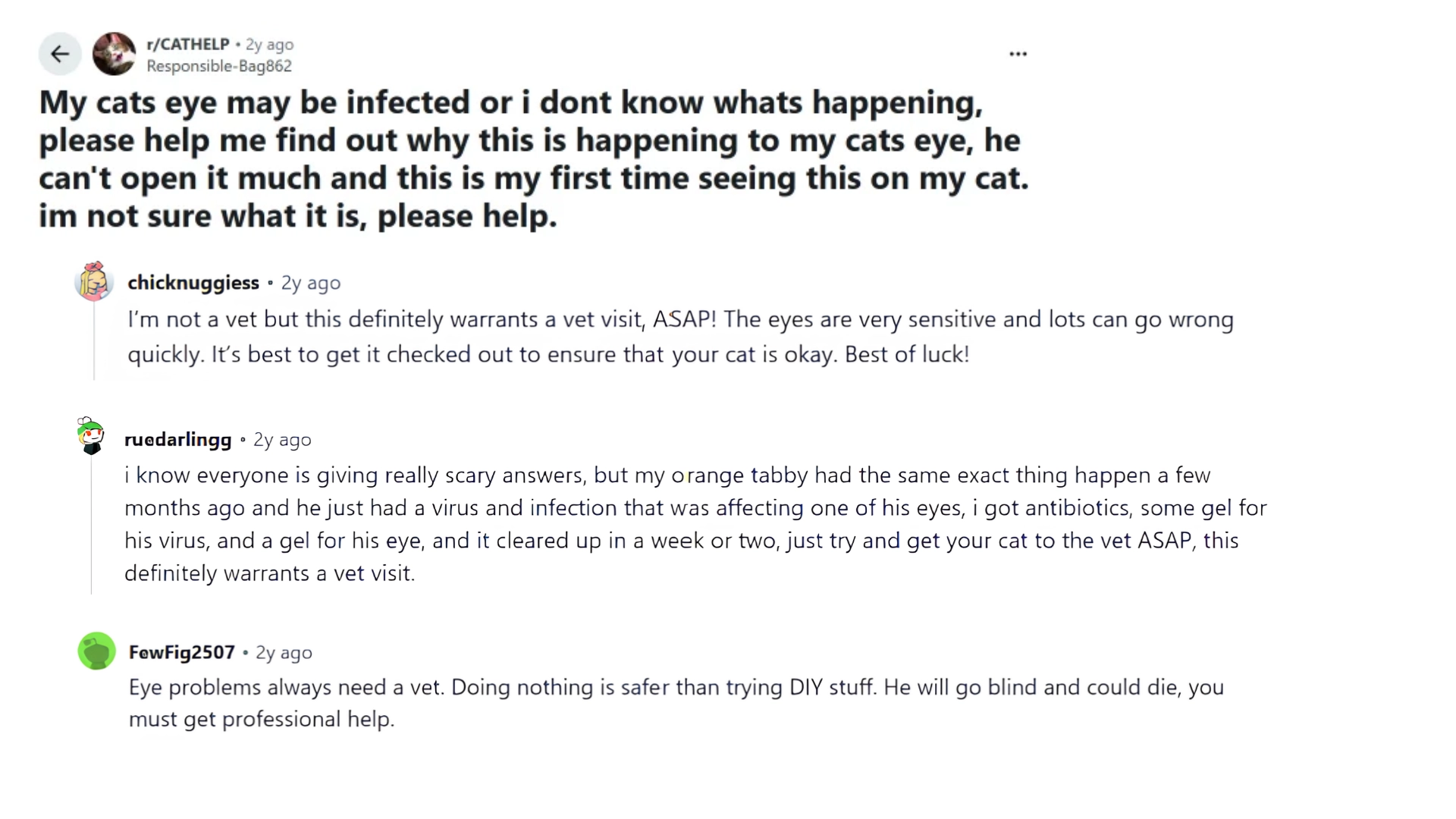 reddit discussion screenshot where cat owners share experiences and advice about a possible eye infection