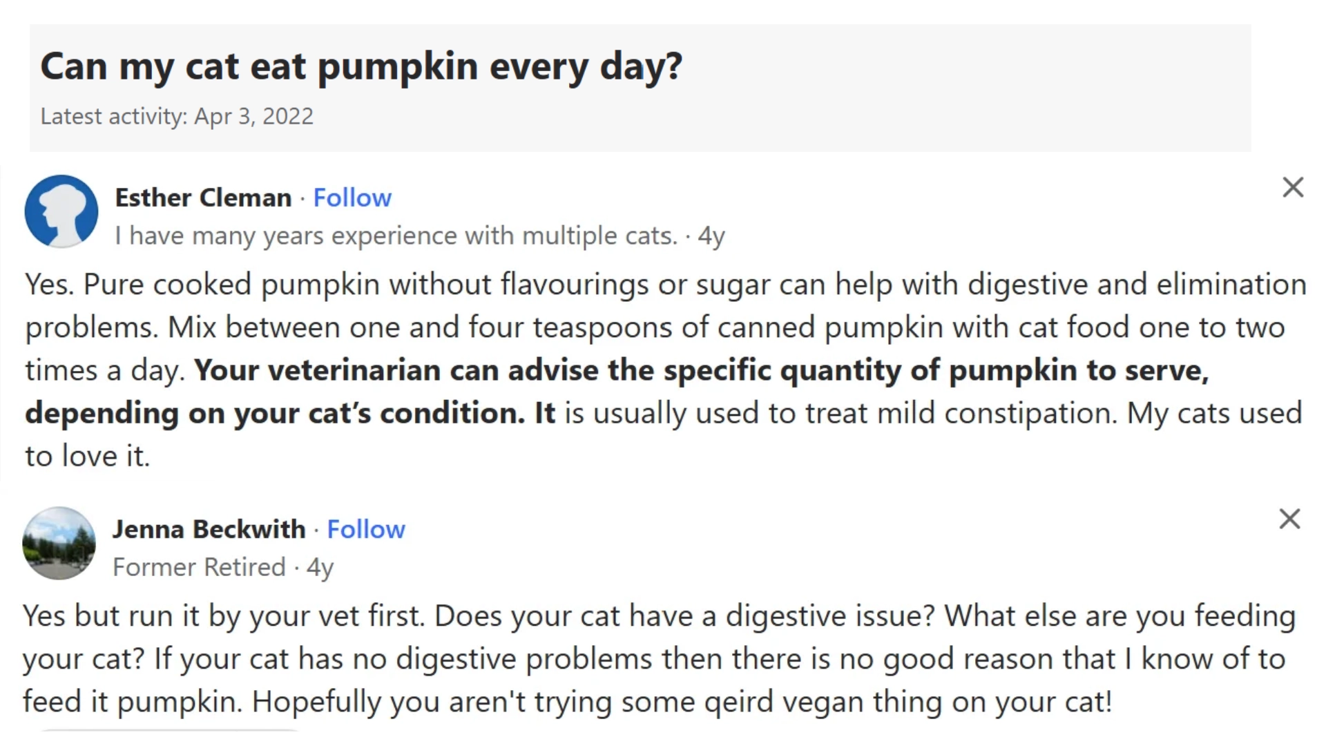online discussion showing pet owners sharing experiences about feeding pumpkin to cats