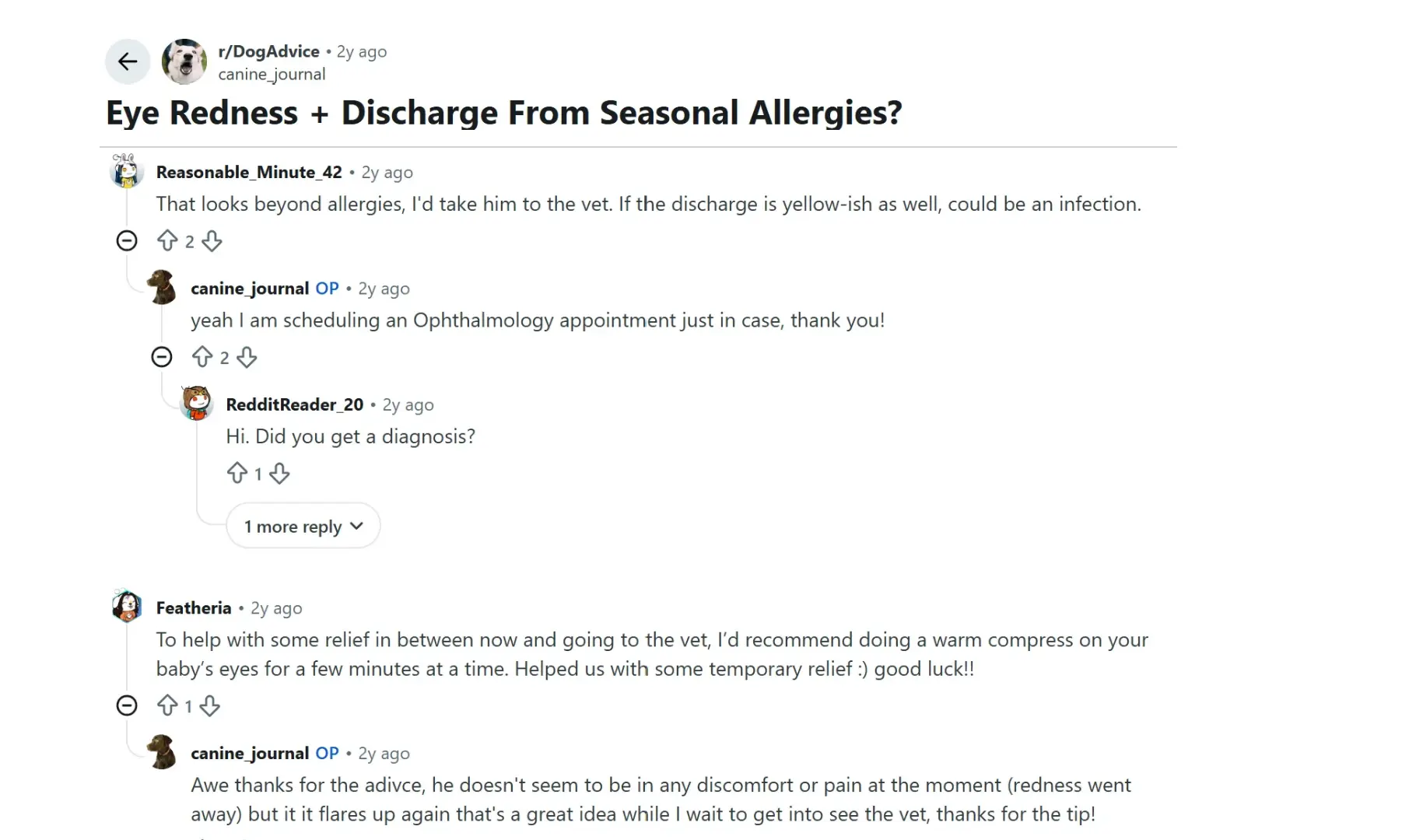 reddit discussion about dog eye redness and discharge with users recommending vet care and a warm compress