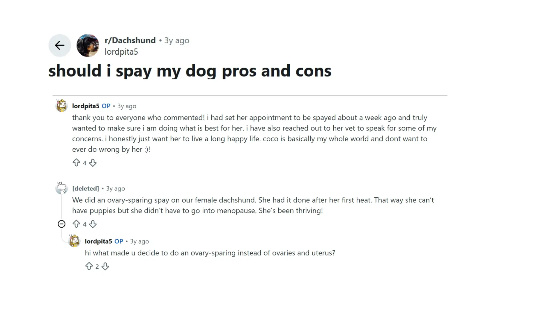 what-real-dog-owners-say-about-spay-recovery (2)