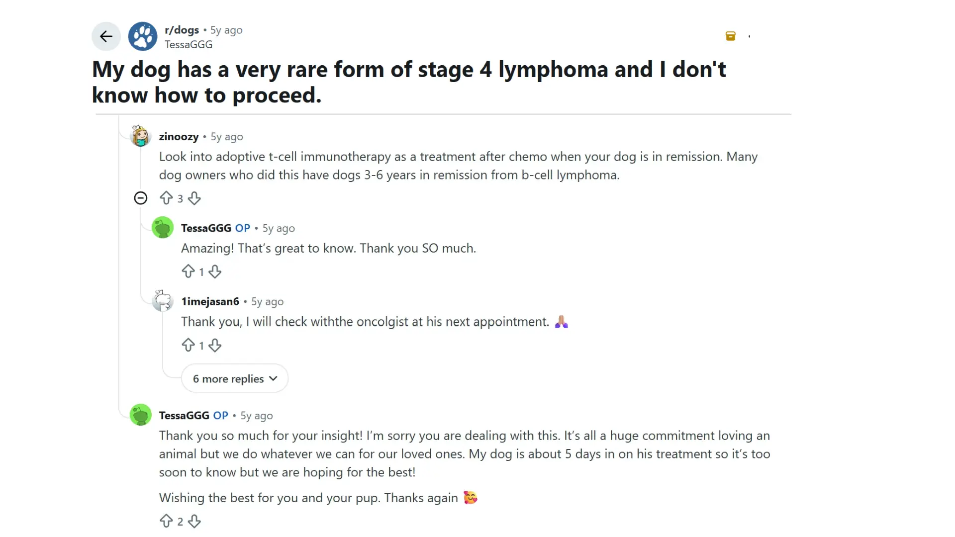 reddit users discussing dog lymphoma treatment options, remission, and questions to ask a veterinary oncologist