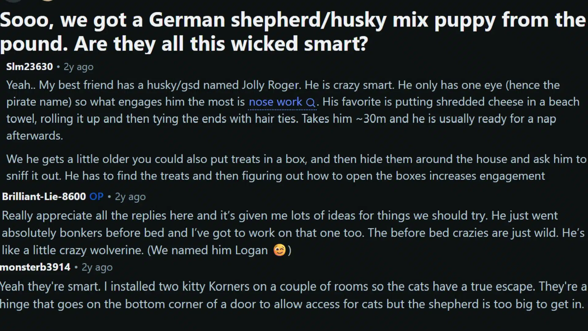 screenshot of an online discussion about a german shepherd husky mix puppy's intelligence and behavior tips