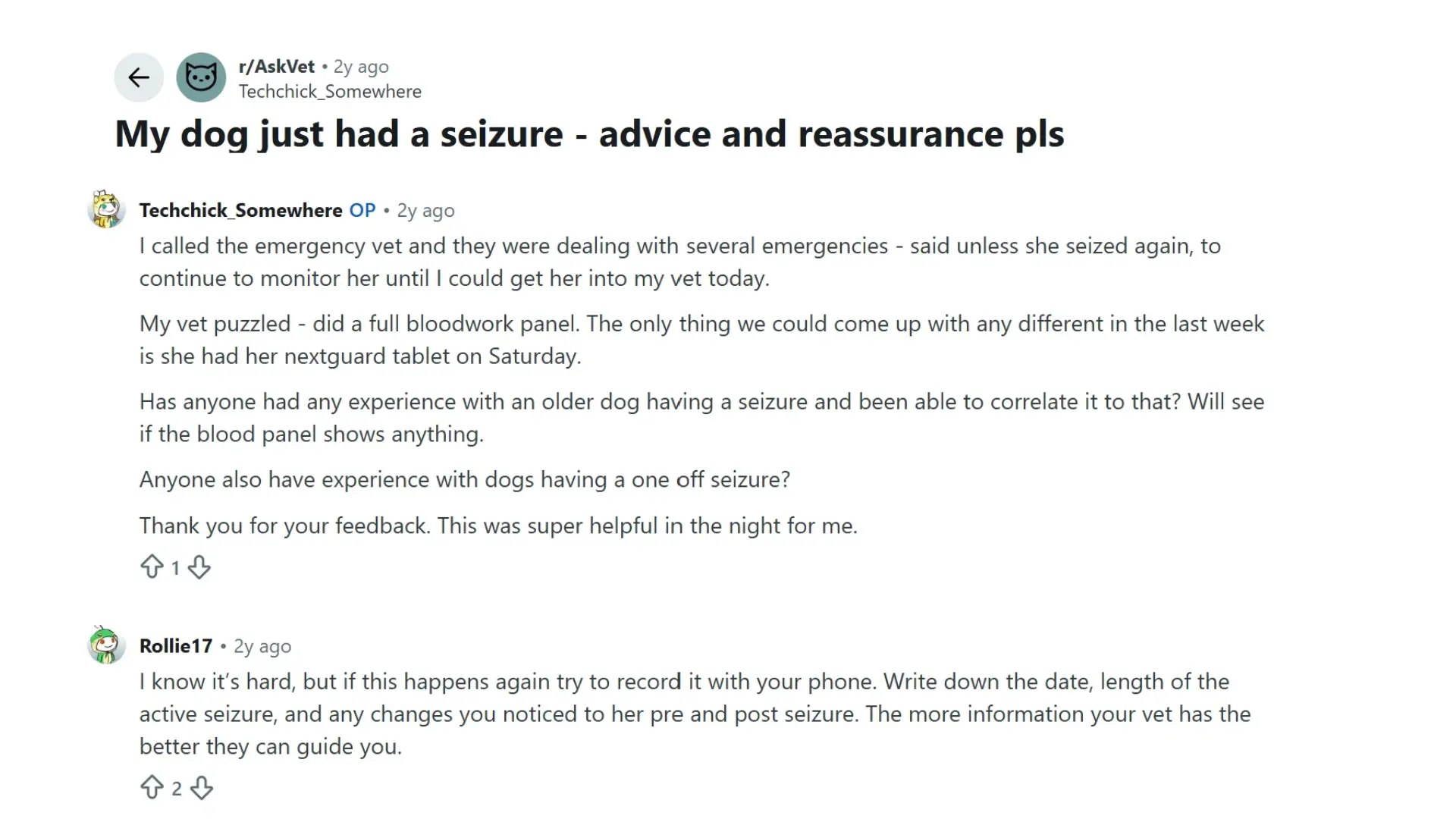 what real dog owners say