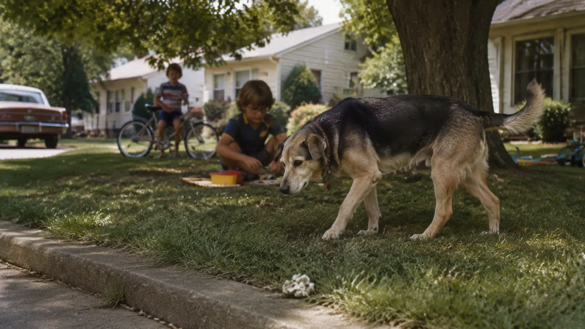 white chalky dog poop pile on grass with a curious dog in a nostalgic backyard setting
